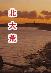 久久这里只有精品99
